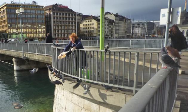 Sans titress-ssssss.jpg