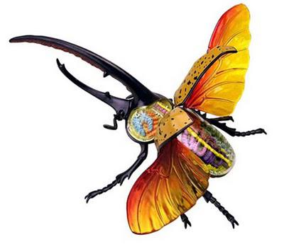 Toucher, manipuler la science anatomique