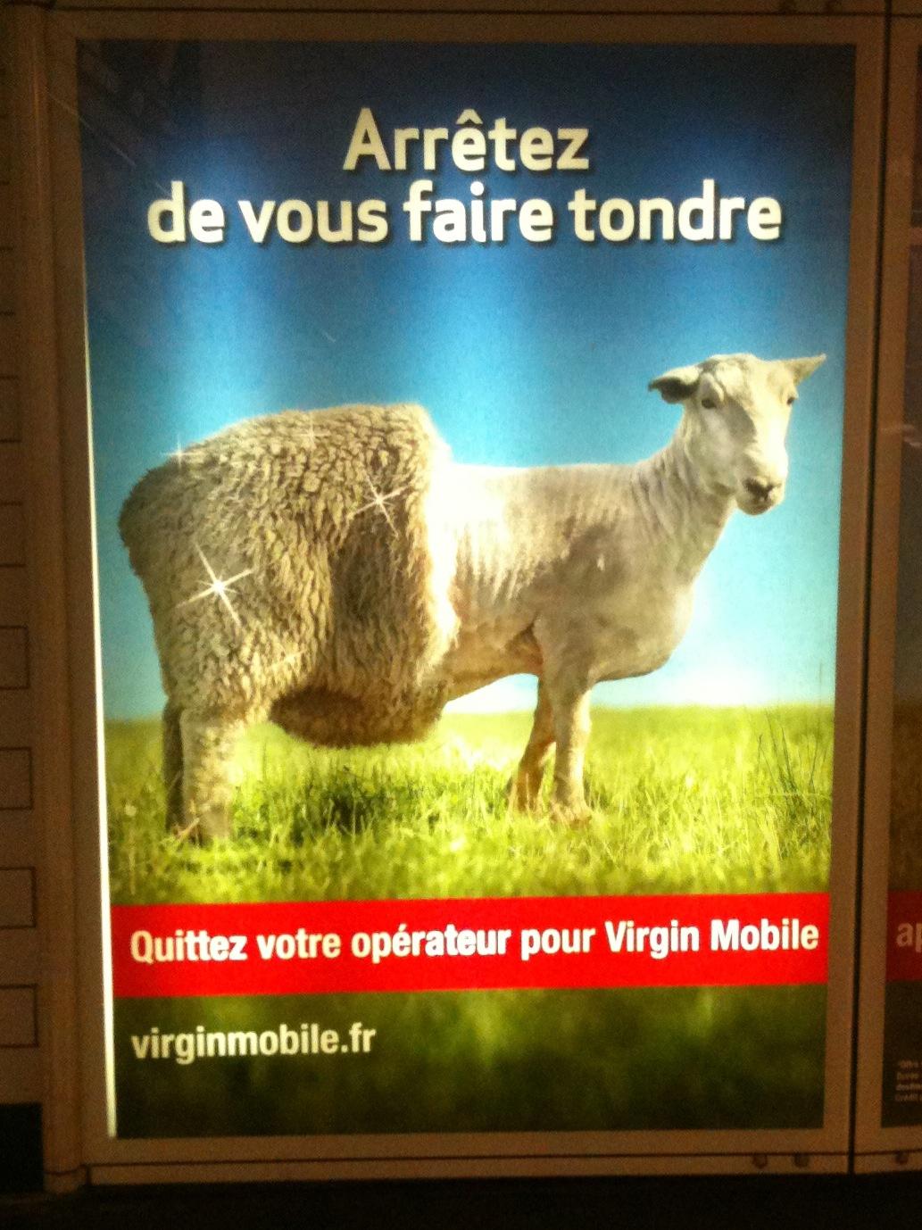 Ils sont partout : les moutons et la publicitי - Soliblog et Virgin Mobile tous droits rיservיs