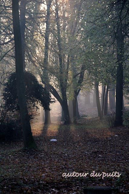 Elle s'annonçait comme une belle journée une fois le brou...