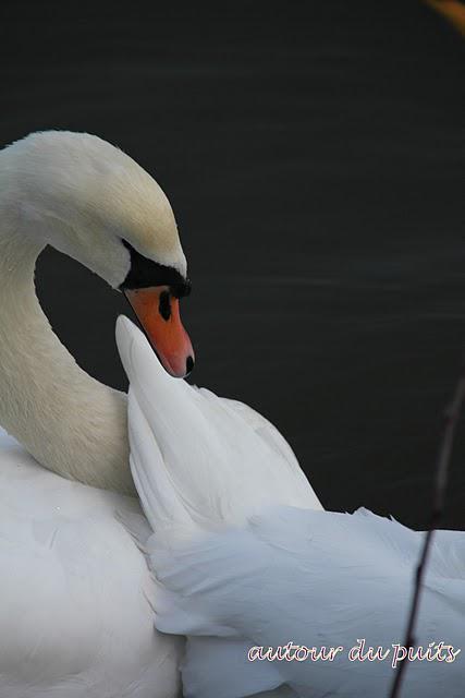 Elle s'annonçait comme une belle journée une fois le brou...