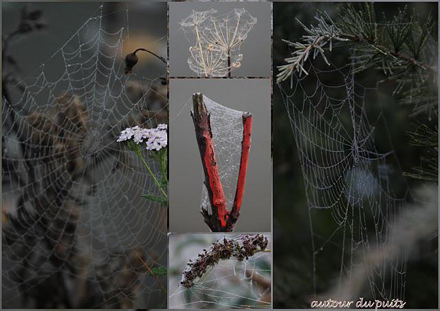 Elle s'annonçait comme une belle journée une fois le brou...