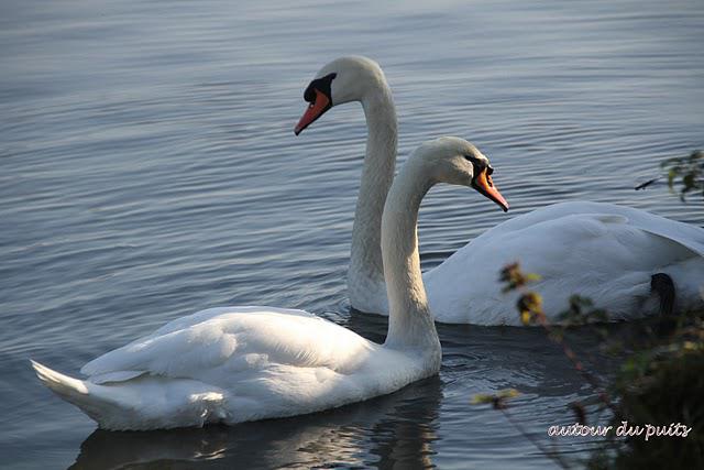 Elle s'annonçait comme une belle journée une fois le brou...