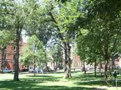 guide campus responsables