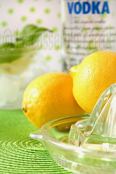 Sorbet citron et basilic sur vodka au limoncello façon trou normand