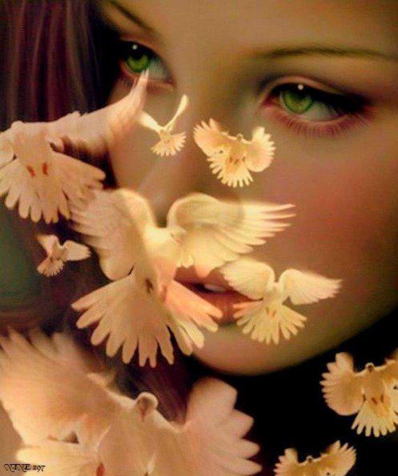 Je suis colombe (Haviva Pedaya)