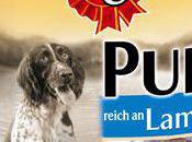 Mínimus maxi-lèches