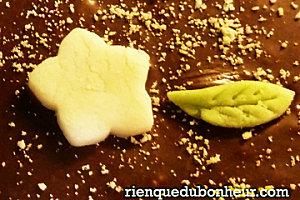 moelleux noisettes-marrons-deco