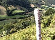Vallée Brezons Cantal