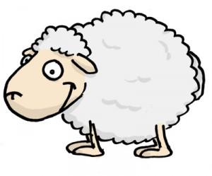 Découper un mouton : la solution