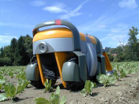 Weedmaster, le robot autonome anti mauvaises herbes!