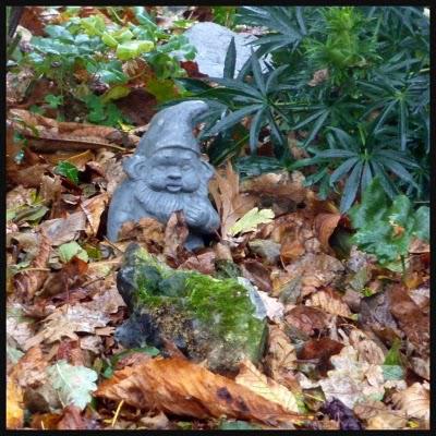 Opération nettoyage...