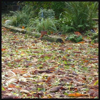 Opération nettoyage...