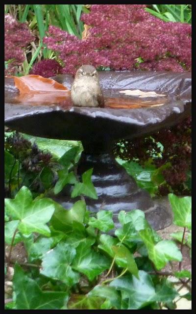 Opération nettoyage...