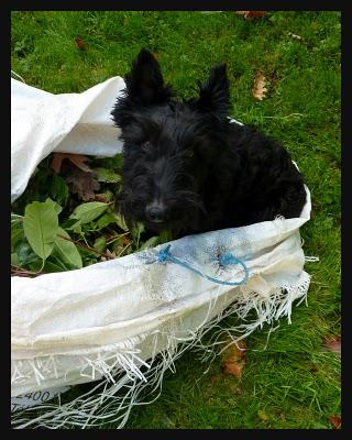 Opération nettoyage...