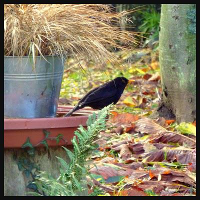 Opération nettoyage...