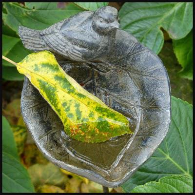 Opération nettoyage...