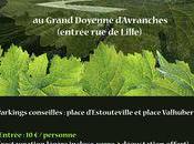 idées sortie dans Manche (50) pour novembre 2010