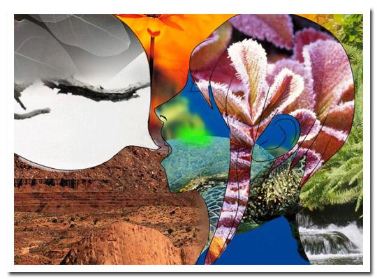 Cool Climate, un peu d'imagination