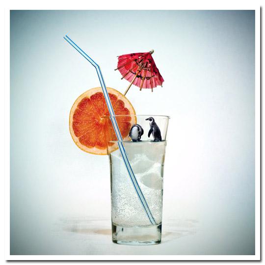 Cool Climate, un peu d'imagination