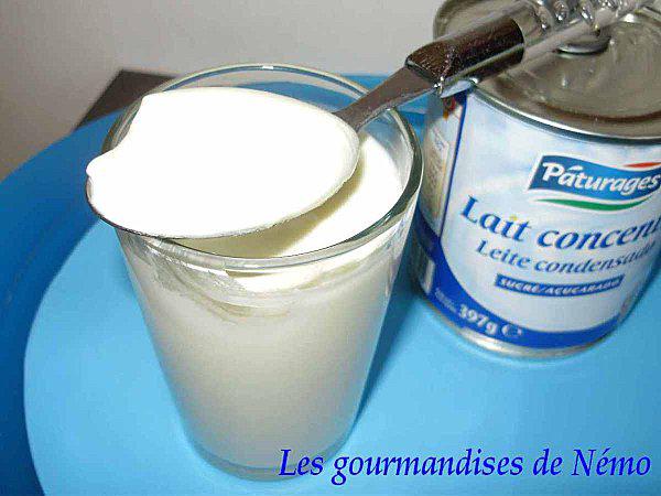 yaourts-lait-concentre.JPG