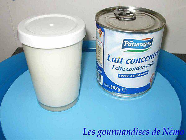 yaourts-lait-concentre--1-.JPG