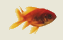 Comme_un _petit _poisson... 27106_CYZNBO3STF62RPCRHEVGNM7LZ8NPK8_poisson_d_avril_H125348_Lbis