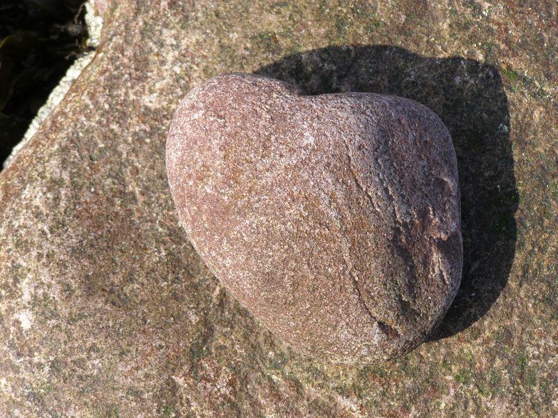 Coeur d’oiseau (Jean-Claude Valin)