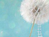 pays Rennes (rêves inside)