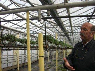 Villes et Villages fleuris de Lorraine - Roville aux Chênes