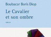 **** Diop Boris Boubacar, Cavalier ombre.