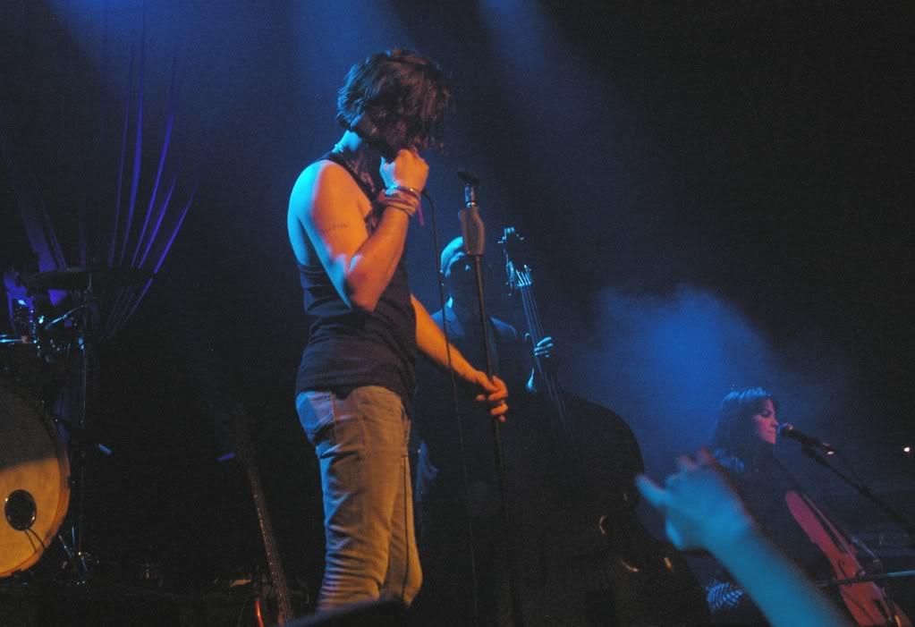 Un tambourin, des moustiques et des moustaches