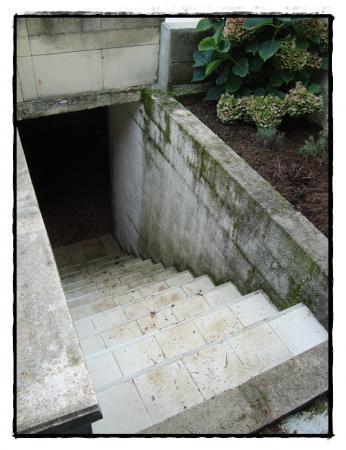 19 novembre 2010, notre bricolage