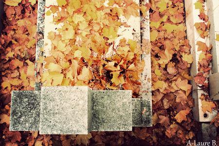 Pere_Lachaise_960_copie