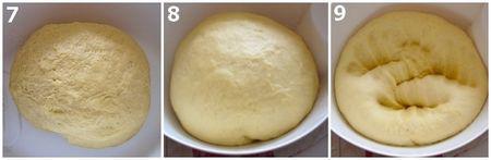 Mini-tresses aux pommes montage_3