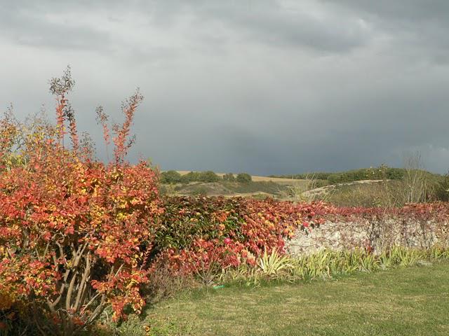 Lumieres d'Automne