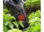 Jordan Nouvelles Images