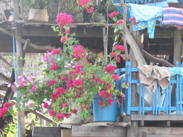 Une jardinière à Angkor