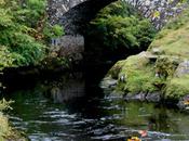 question gastronomie gaffe