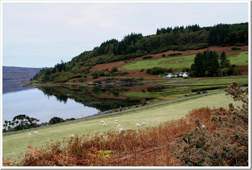 irlande-écosse oct 2010 235