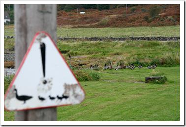 irlande-écosse oct 2010 108