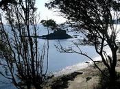 pour écrire seul vers