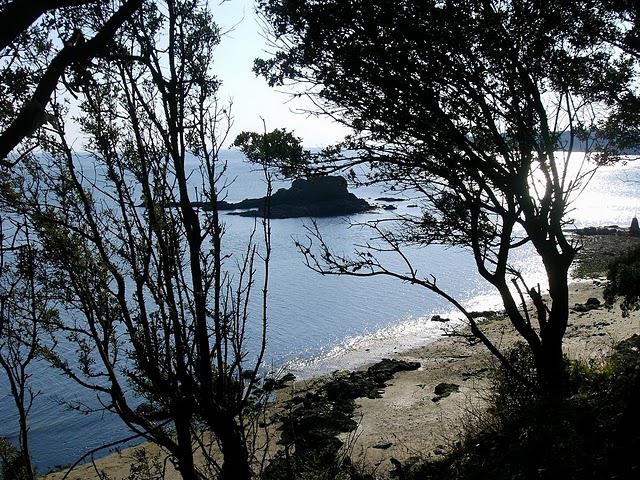 pour écrire un seul vers