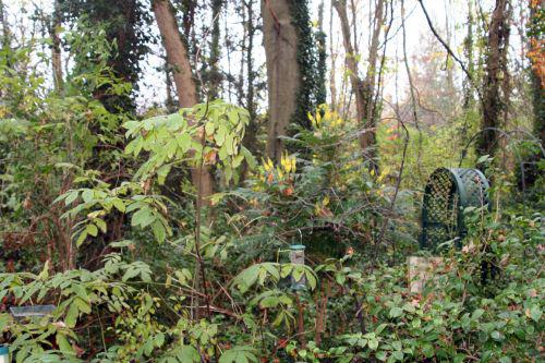 charity sureau 20 nov 2010 007.jpg