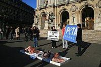 meat-tray-protest-2010.JPG