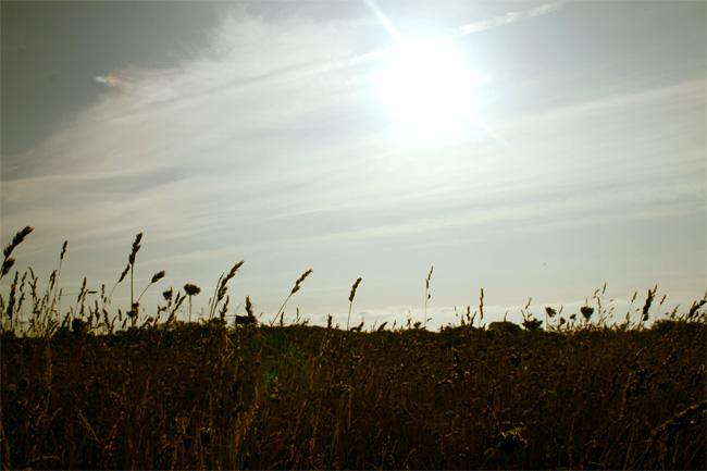 Stance (Jean-Luc Moreau)