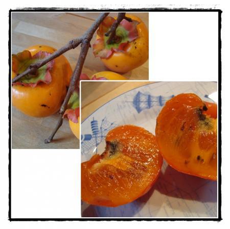 20 novembre 2010, le jardin de Roger à Meschers