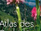 atlas orchidées France