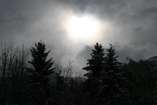 Symphonie en noir et blanc