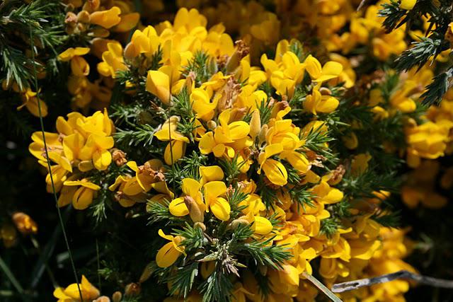 Un petit tour par la bretagne